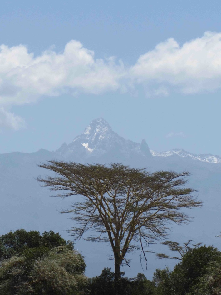 mtkenya.jpg