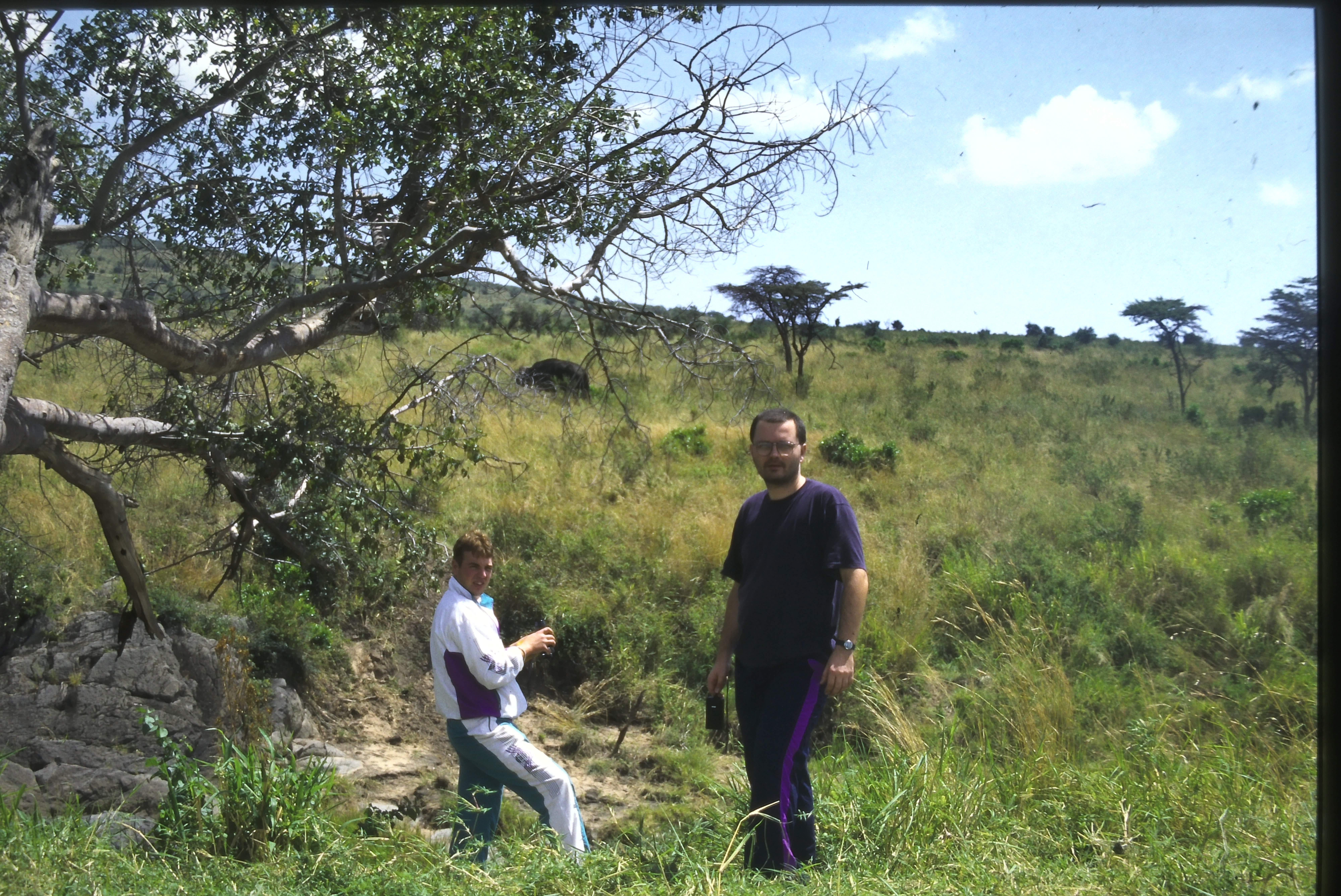 Safari.jpg Safari.jpg